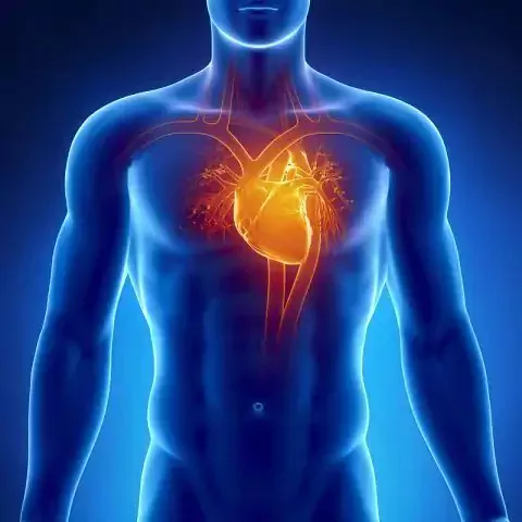 Программа №9: Здоровое сердце